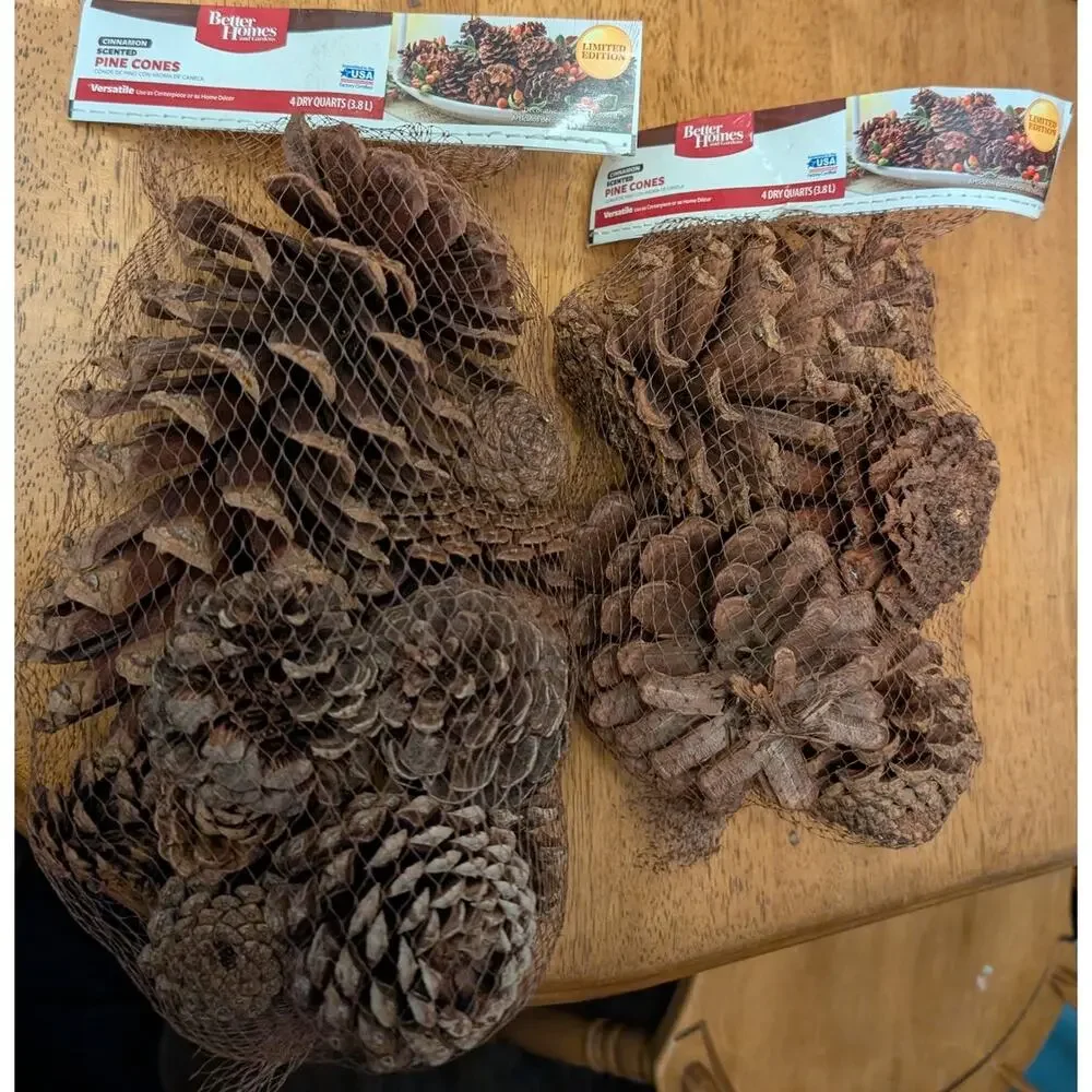 Two Pack of Pinecones Christmas/Other